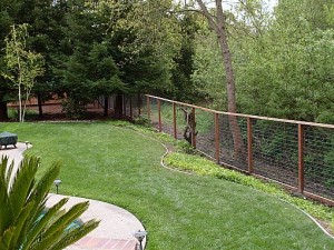 Protect Your Yard From Deer With A Deer Fence A And J Fencing