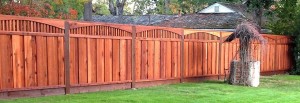 RedwoodFence04