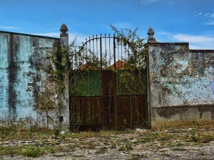 old gate by letinhastock d6ezxf3
