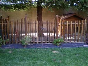 2009  05 14 054