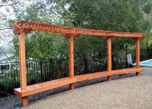 Arbor #2