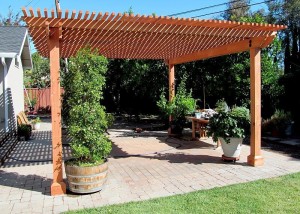 Arbor #3