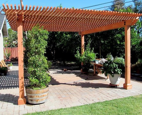 Arbor #3
