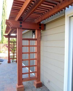 Arbor #6