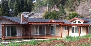 Arbor #7