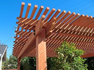 Arbor #
