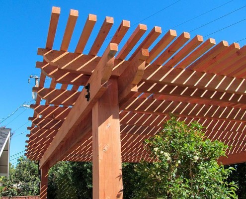 Arbor #