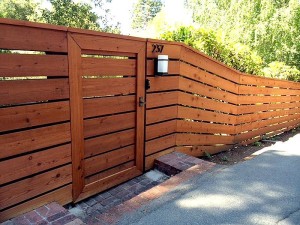 Custom Fence #1