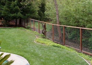 Deer Fence #2b