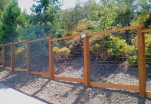 Deer Fence #31