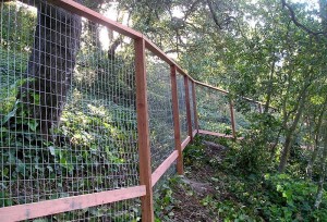 Deer Fence #4b