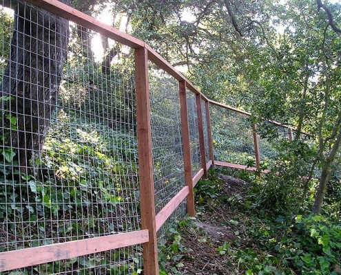 Deer Fence #4b