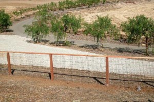 Deer Fence #5b
