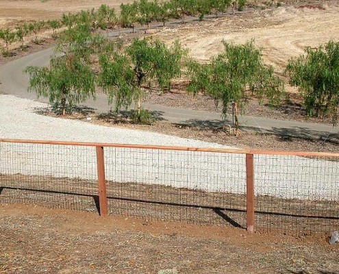 Deer Fence #5b