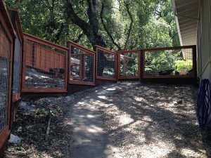 Deer Fence #6
