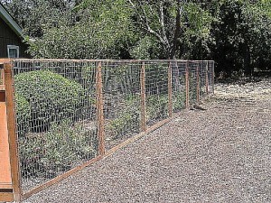 Deer Fence #9