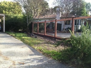 Deer Fence #11