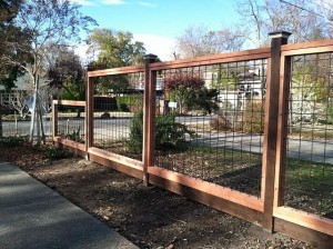 Deer Fence #12
