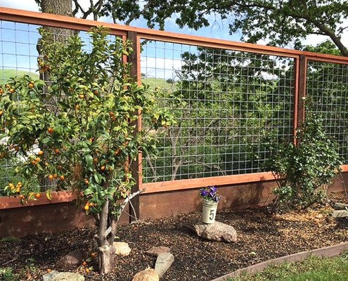 Hogwire Fences #3