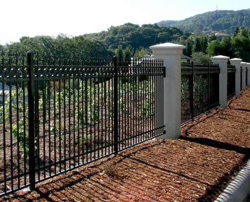 Iron Fence #2