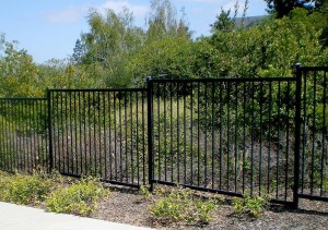 Iron Fence #4