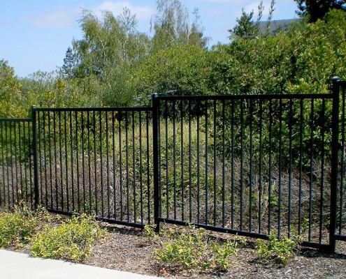 Iron Fence #4