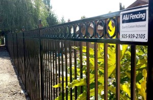 Iron Fence #5