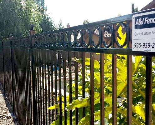 Iron Fence #5