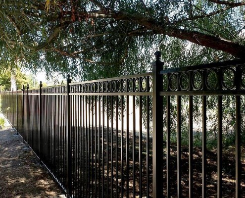Iron Fence #6
