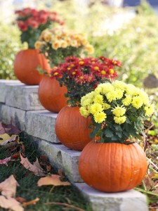 Pumpkin-Planters-225x300