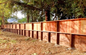 Retaining Walls #2