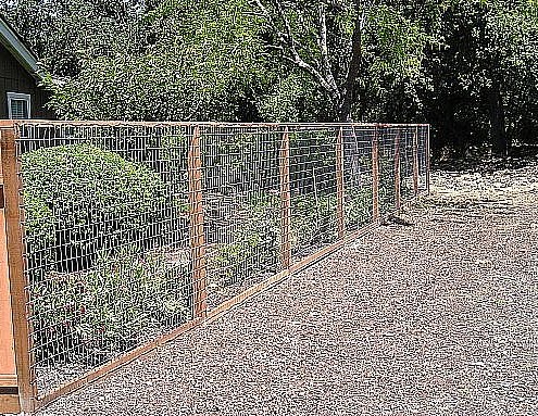 deer proof fence