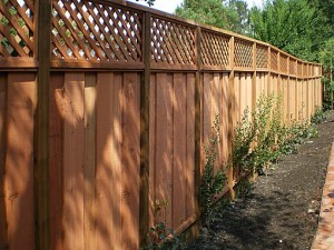 JUMBO LATTICE REDWOOD FENCING