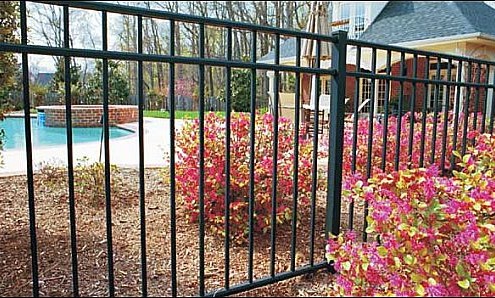 ornamental