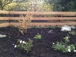 ranch rail fence