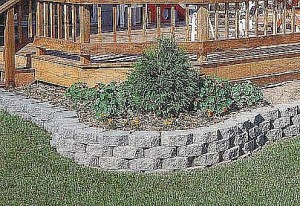 retaining wall around tree